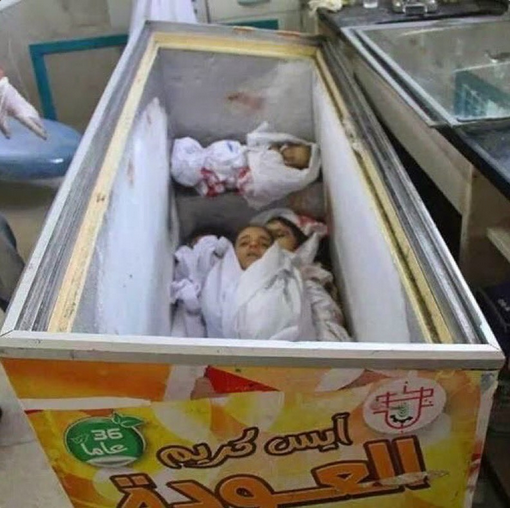 babies in freezer gaza