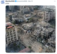 Israeli commentary on the brutal destruction